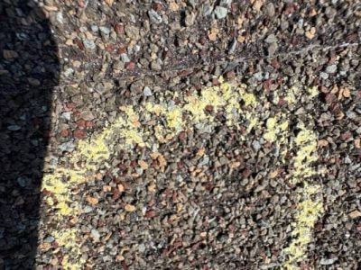 Shingle Roofing Repair Services